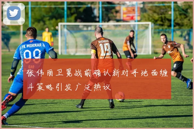 张伟丽卫冕战前确认新对手地面缠斗策略引发广泛热议